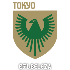 仙台维加泰女足